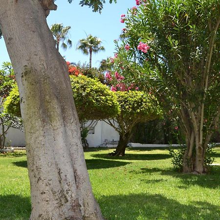 Apartamentos Don Quijote Плая дел Инглес Екстериор снимка